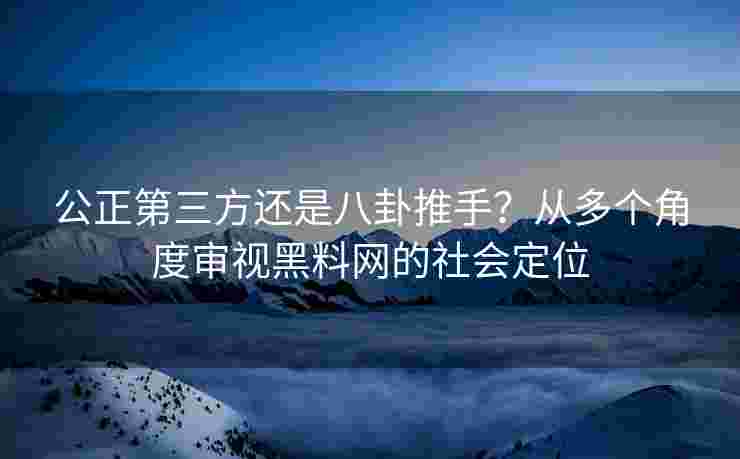 公正第三方还是八卦推手？从多个角度审视黑料网的社会定位