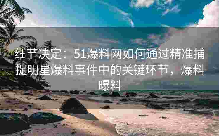细节决定：51爆料网如何通过精准捕捉明星爆料事件中的关键环节，爆料曝料