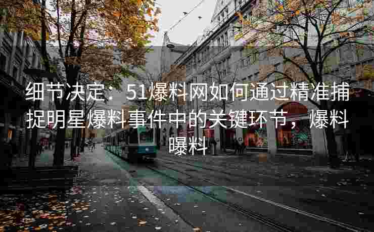 细节决定：51爆料网如何通过精准捕捉明星爆料事件中的关键环节，爆料曝料