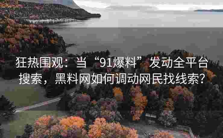 狂热围观：当“91爆料”发动全平台搜索，黑料网如何调动网民找线索？