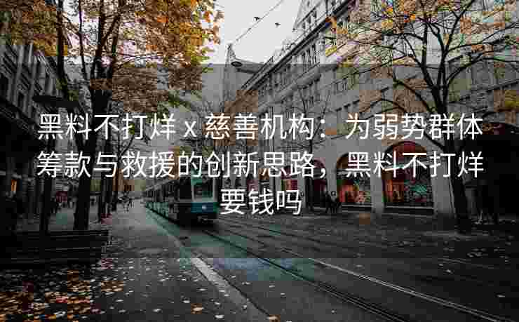 黑料不打烊 x 慈善机构：为弱势群体筹款与救援的创新思路，黑料不打烊要钱吗