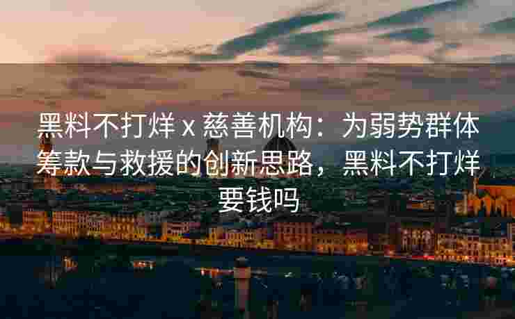 黑料不打烊 x 慈善机构：为弱势群体筹款与救援的创新思路，黑料不打烊要钱吗