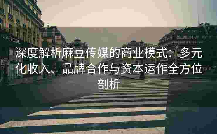 深度解析麻豆传媒的商业模式：多元化收入、品牌合作与资本运作全方位剖析