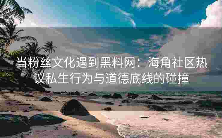 当粉丝文化遇到黑料网：海角社区热议私生行为与道德底线的碰撞