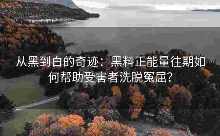 从黑到白的奇迹：黑料正能量往期如何帮助受害者洗脱冤屈？
