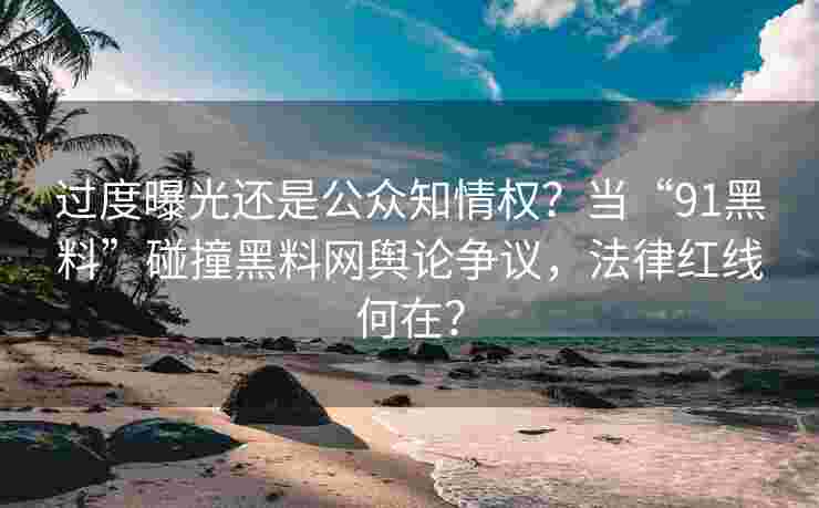 过度曝光还是公众知情权？当“91黑料”碰撞黑料网舆论争议，法律红线何在？