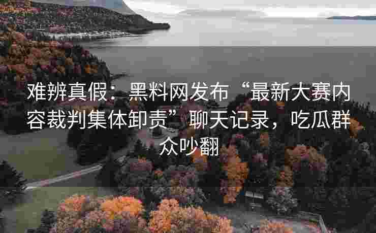 难辨真假：黑料网发布“最新大赛内容裁判集体卸责”聊天记录，吃瓜群众吵翻