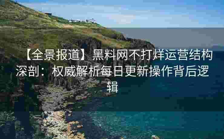 【全景报道】黑料网不打烊运营结构深剖：权威解析每日更新操作背后逻辑