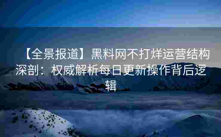 【全景报道】黑料网不打烊运营结构深剖：权威解析每日更新操作背后逻辑