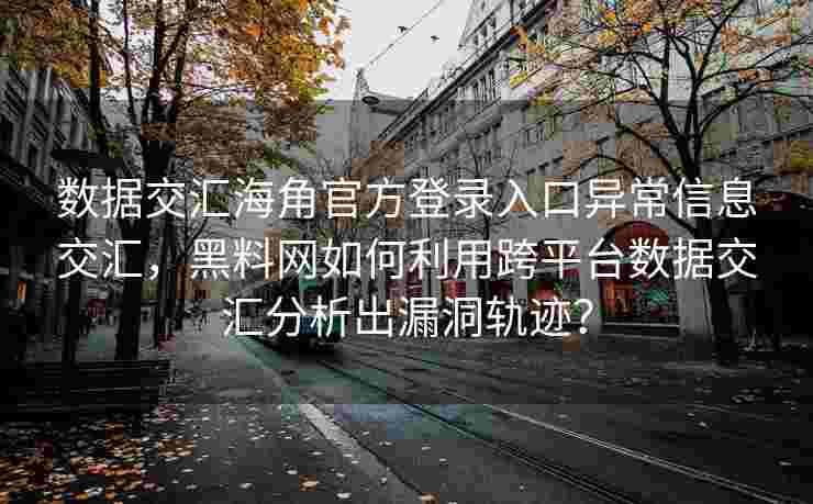数据交汇海角官方登录入口异常信息交汇，黑料网如何利用跨平台数据交汇分析出漏洞轨迹？
