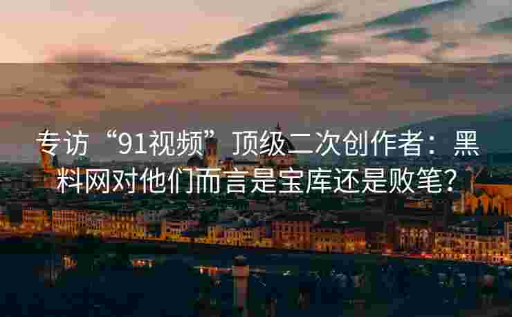 专访“91视频”顶级二次创作者：黑料网对他们而言是宝库还是败笔？