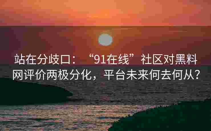 站在分歧口：“91在线”社区对黑料网评价两极分化，平台未来何去何从？